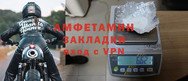 прущие грибы Волосово