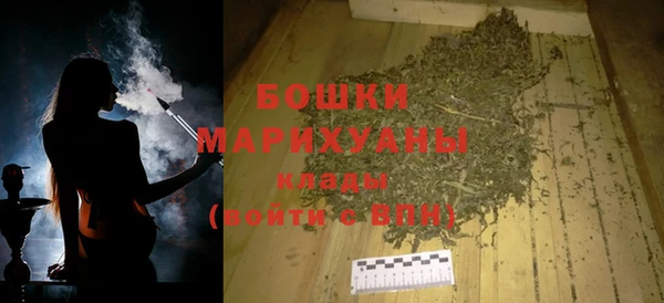 прущие грибы Верея