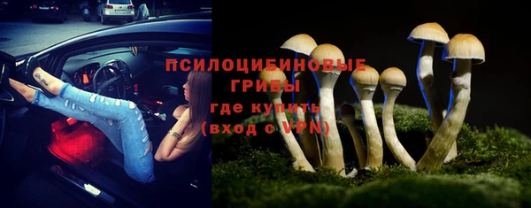 прущие грибы Волосово