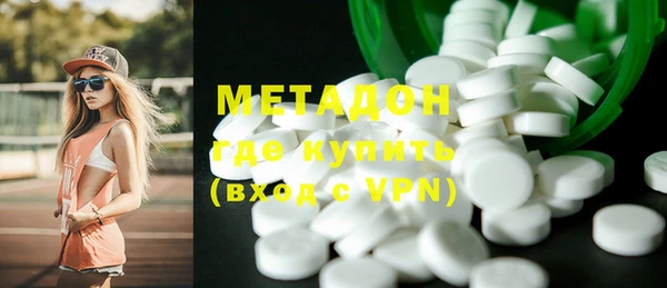прущие грибы Верея