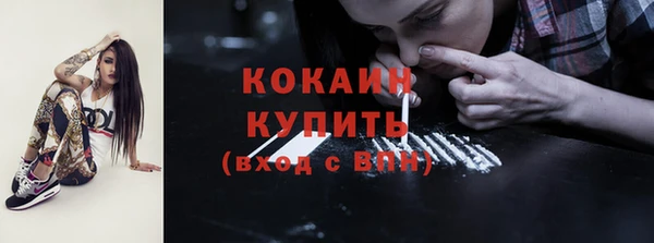 прущие грибы Верея