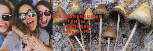 не бодяженный Волоколамск