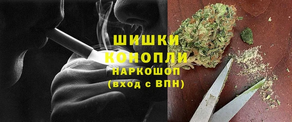 прущие грибы Волосово