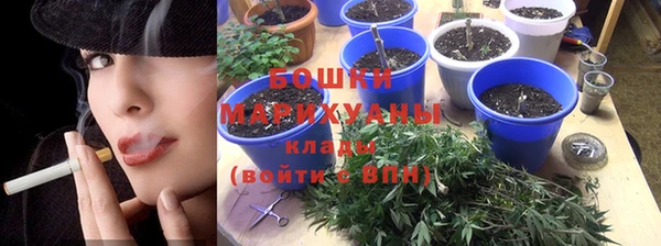 прущие грибы Верея