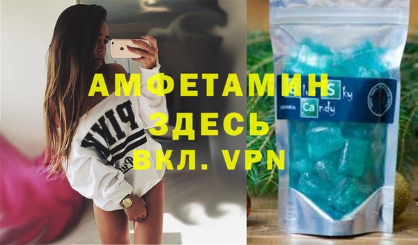 прущие грибы Волосово