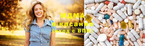 прущие грибы Верея