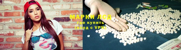 прущие грибы Верея