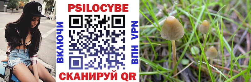 Псилоцибиновые грибы Cubensis  купить закладку  МЕГА маркетплейс  Одинцово 