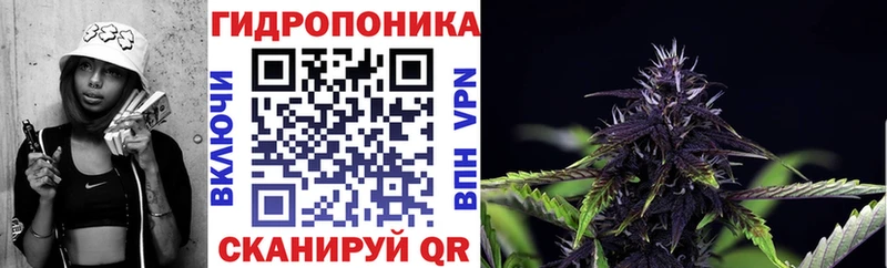 цены наркотик  Одинцово  Шишки марихуана Bruce Banner 